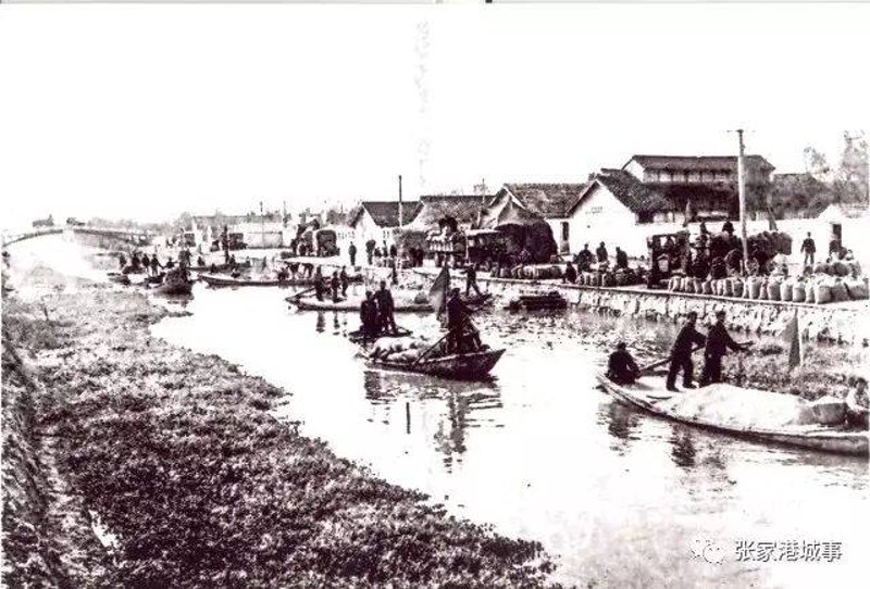 大德顺贸易：行业风向标与市场变化揭秘